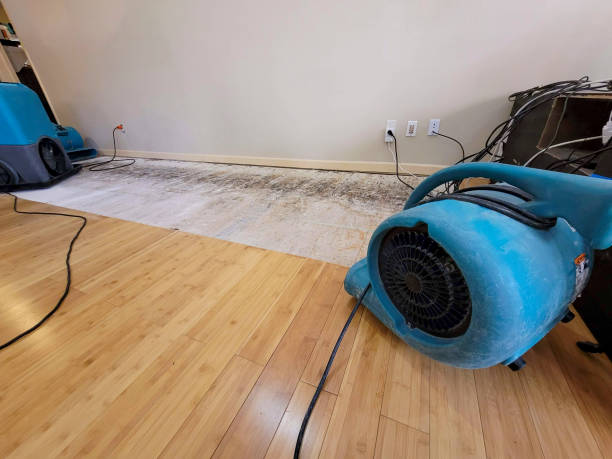 Professional Basement Flood Cleanup technician working in Riddleton, TN